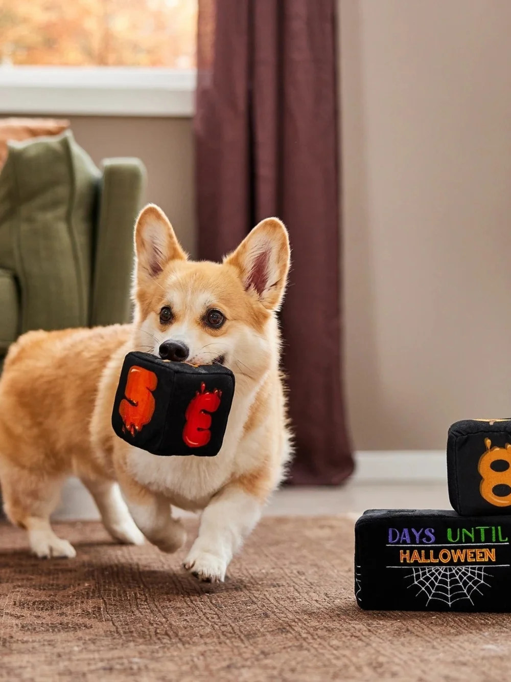 Frisco Halloween Countdown Plush Blocks -Dog Toy